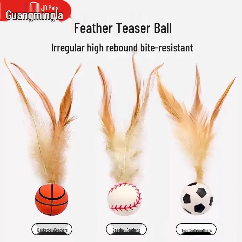 Cat Teaser Wand & Rainbow Tunnel Play Set