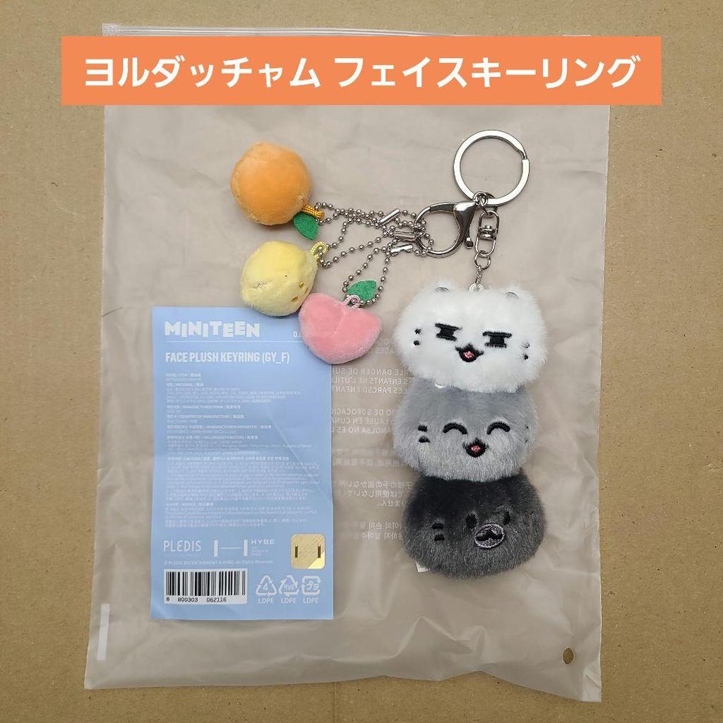 [USED] MINITEEN Jun Face Keyring Miniteen Yoldacham