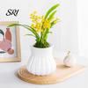 Lazy Gardener Flowerpot Self-watering with Self-absorbing Cotton Rope Creative Plastic Plant Pot Indoor Vertical Grain Glass Planter Inner Cup