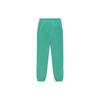 Fear of God Essentials Crinkle Nylon Track Pants Mint Leaf Men Bottoms Green 130SP244242F