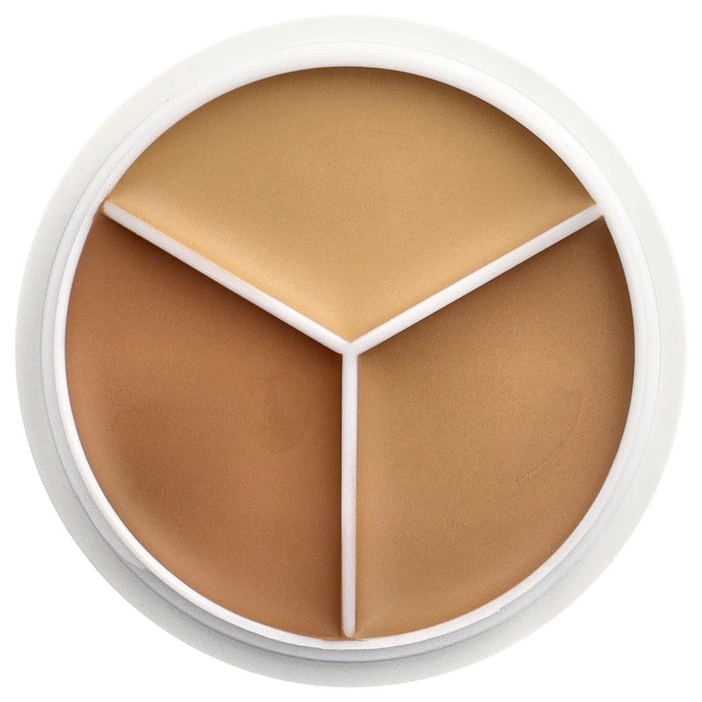 TFIT Cover-Up Pro Concealer, 04 Dunkel, 15g (0,52 Unzen)