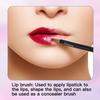 30pcs Disposable Eyeshadow Applicators, Lip Brush Lip Liner Brush Makeup Cosmetic Tool for Eyeshadow Lipstick, Black