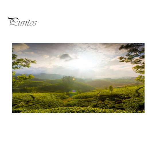 Fluorescent Light Cover with 10 Magnets Exquisite Pattern Easy Installation Fluorescent Light Filter Magnetic Ceiling Light Cover