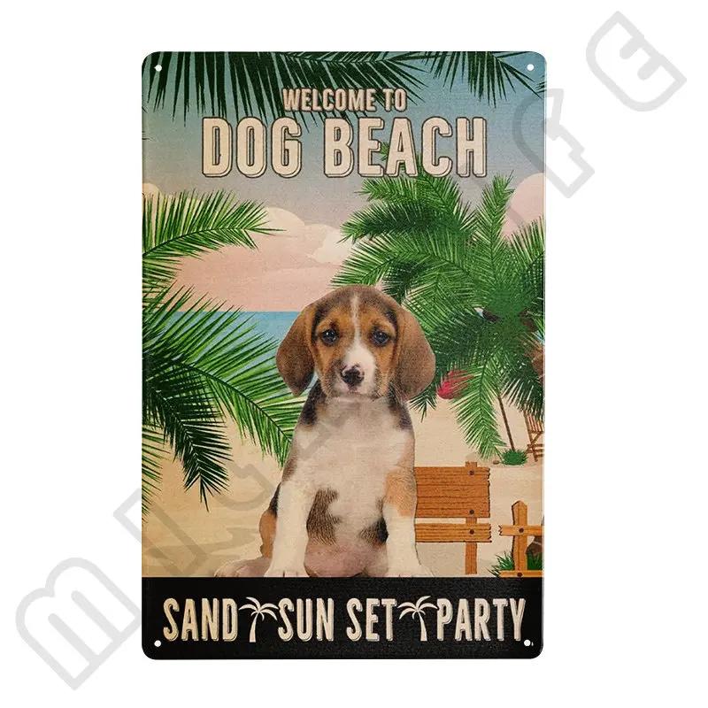 Funny Beagle Dog Metal Tin Sign Plate Retro Art for Bathroom Kitchen Restaurant Dessert Shop Pet Shop Farmhouse Home Room Decor