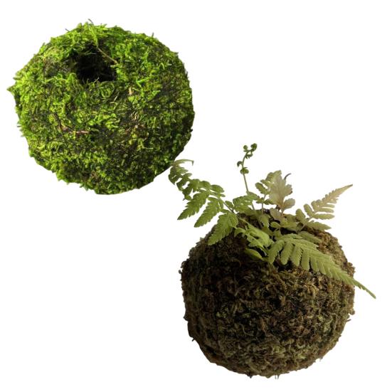 Mosbold Blomsterpotte, Naturlig Grøn Bonsai Planteholder, Dekorativ Mosbold Planteholder til Hjem, Have, Bryllupsfest Dekoration
