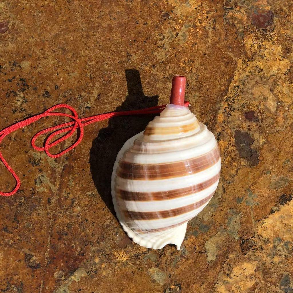 Street Stall Conch Shell Whistles & Toys: Creative Souvenirs