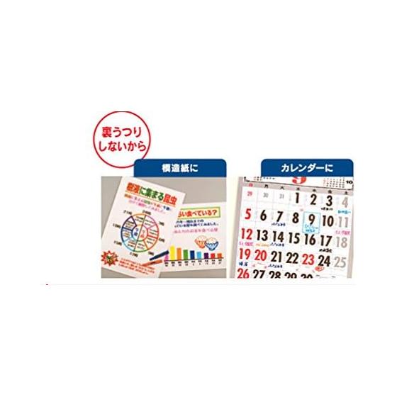 Mitsubishi Pencil Prockey Twin Marker, Fine + Extra Fine Tip, Sakura Pink, 10 Pack