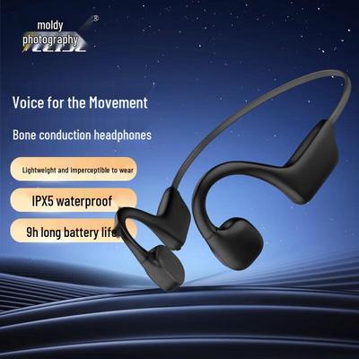 LEISE AS22 Bone Conduction Bluetooth Sports Earphones
