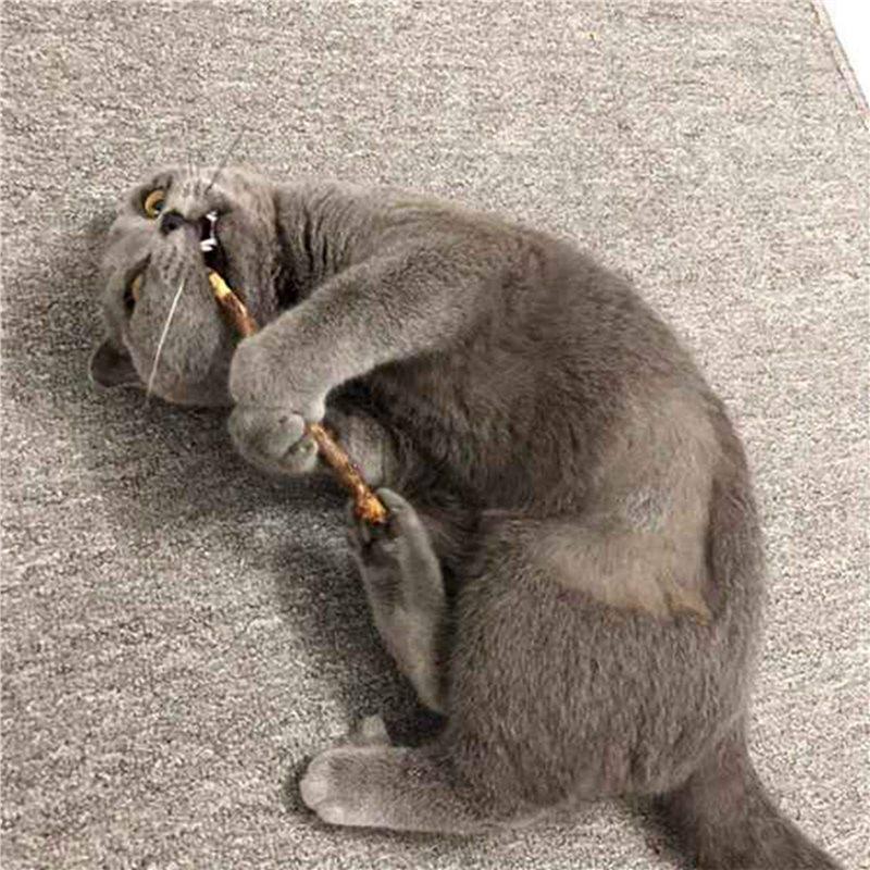 Customer Favorite 120Pcs Natural Silvervine Sticks For Catnip Sticks Matatabi Chew Sticks Teeth Molar Chew Toys For Cat Teeth