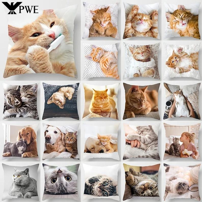 45X45CM Cat Collection Pillowcase Home and Office Decor Square Pillowcase