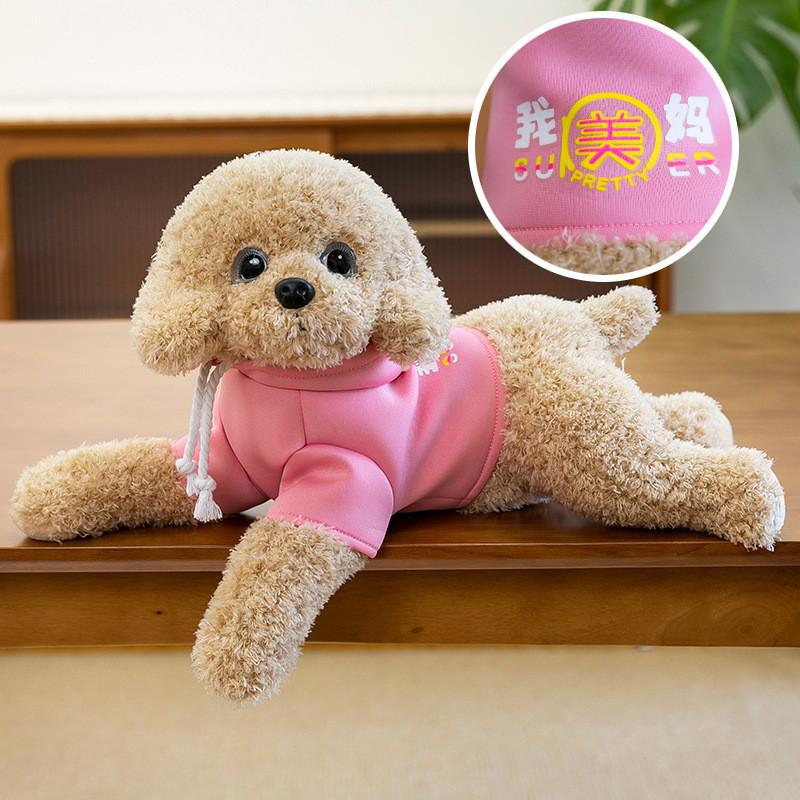 Hoodie Teddy Dog Plush Toy Cute Cartoon Collar Animal Doll Girl Gift Birthday
