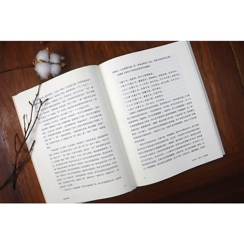I Ching Explained by Zhang Qicheng
