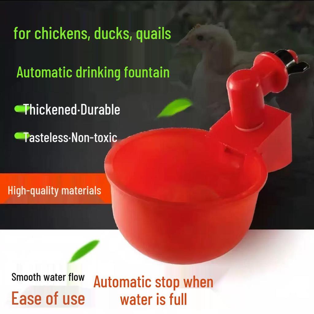 Automatic Poultry Drinker for Chickens, Ducks, and Geese - Thickened Household Aquaculture Drinking Bowl