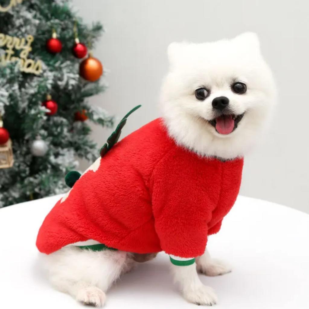 Winter clothes for dogs, Christmas sweater for winter, dog outfit XXL PetJet