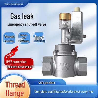 Commercial Kitchen Gas Leak Alarm with Automatic Shut-off Solenoid Valve