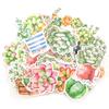 Navy Peony Succulent Watercolor Stickers and Stickers for Water and Journals (21 Sheets) - Cute, Water-Resistant, Long-Lasting Bottles, Laptops,
