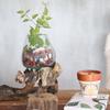 Molten Glass Bowl On Driftwood Stand Medium