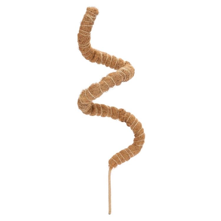 Plant Support Flexible Plant Stake Living Room Plant Stand Plant Climbing Support Suitable for Indoor Plant Growth