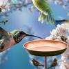 Outdoor Bird Bath Bowl with Bird Ornament for Garden Decors Sturdy Metal Construction Stable Prongs Base