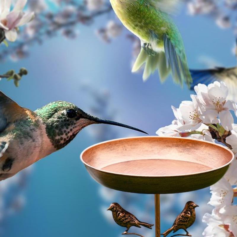 Outdoor Bird Bath Bowl with Bird Ornament for Garden Decors Sturdy Metal Construction Stable Prongs Base