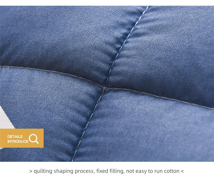 Three-Dimensional Feather Velvet Dormitory Tatami Mattress Topper