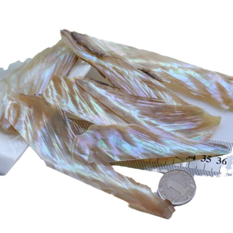 Iridescent Abalone Shell Inlay: Decorative Lacquer Pieces for Musical Instruments and Nail Art.