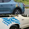 2 PCS Graphic Vinyl Stripe Car Sticker For Hyundai Santa Cruz Trunk Side Decals