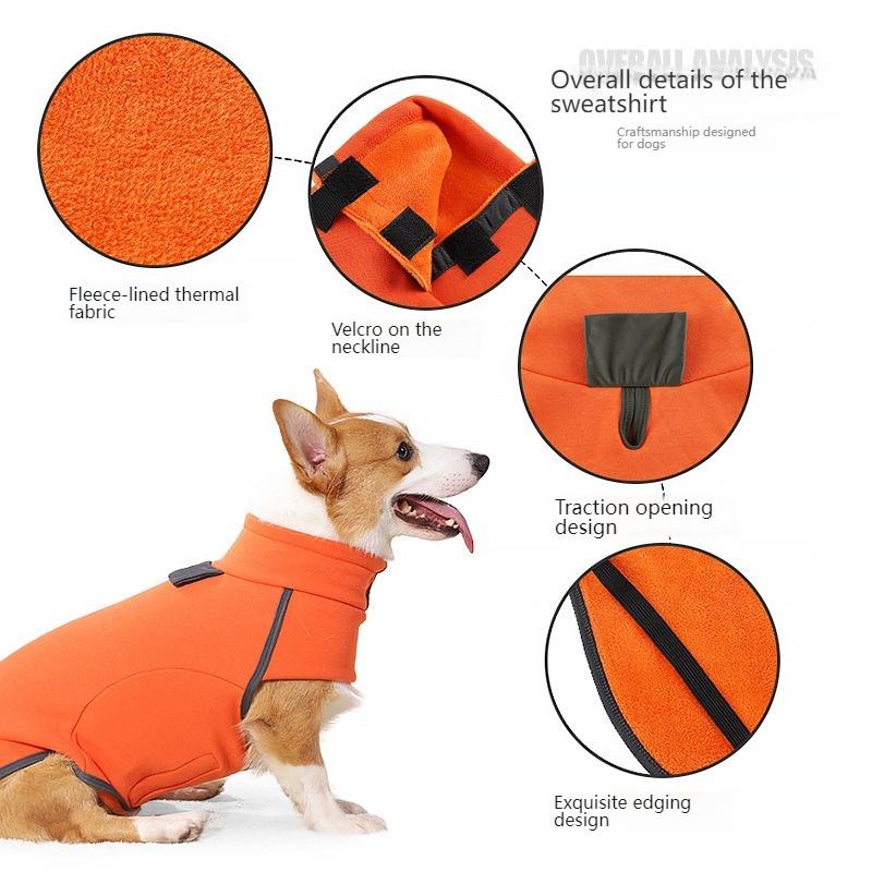 Autumn Winter New Dog Sweatshirt Turtleneck Fleece Lined Warm Cotton Coat Soft Home Wear Pet Clothes For Small Medium Dogs