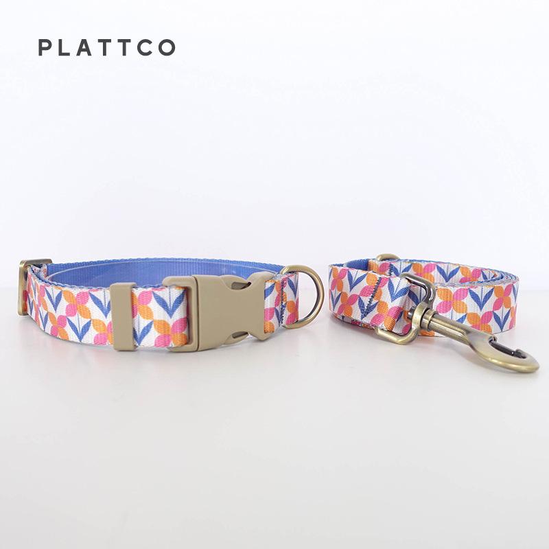 PLATTCO Dog Training Collar & Leash Set for Medium to Large Breeds PDC354 M