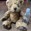 [USED] Teddy bear stuffed animal