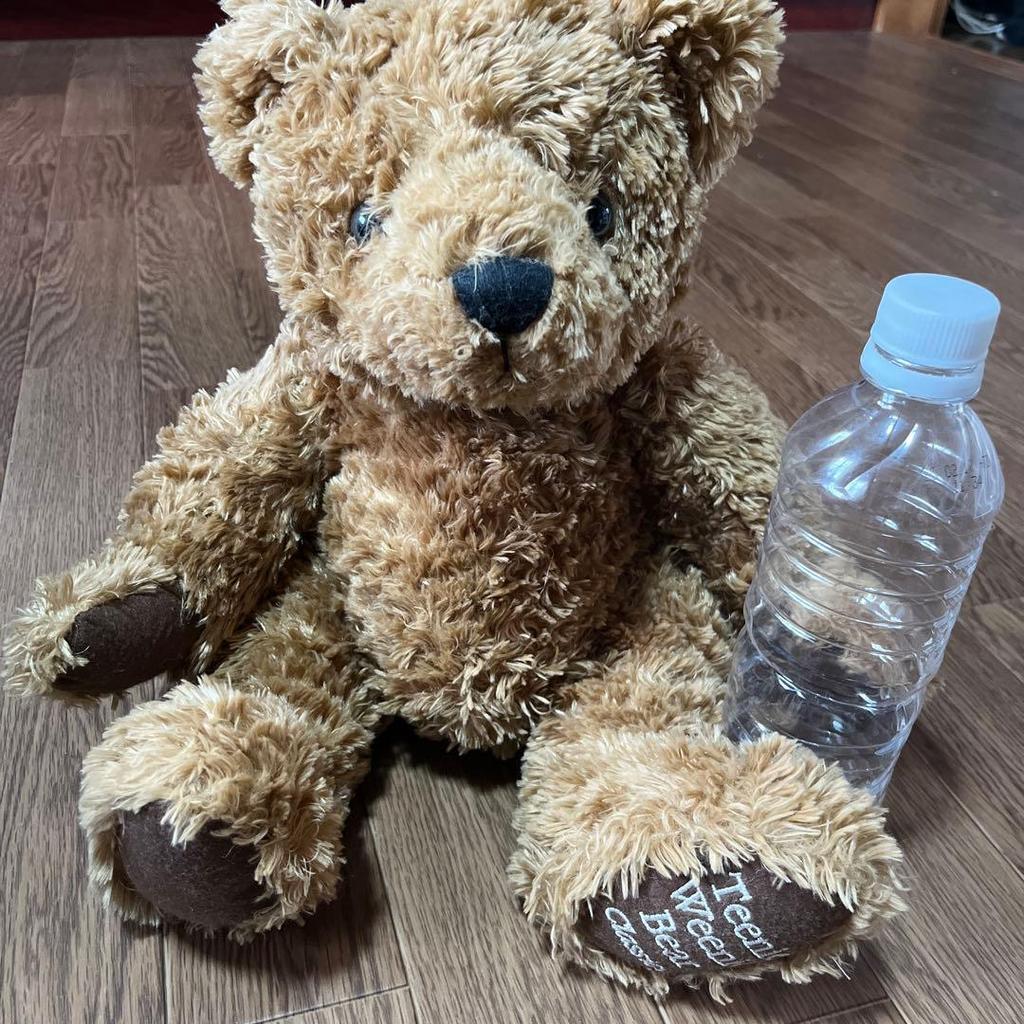 [USED] Teddy bear stuffed animal