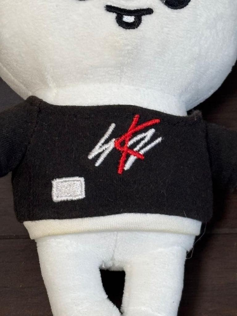 [GEBRAUCHT] Straykids Reno Plüschtier Ribbit