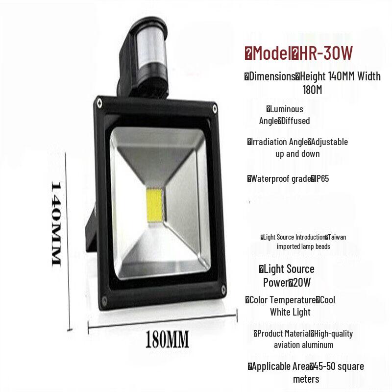 Rongyu 30W DC12V Motion Sensor Outdoor Light