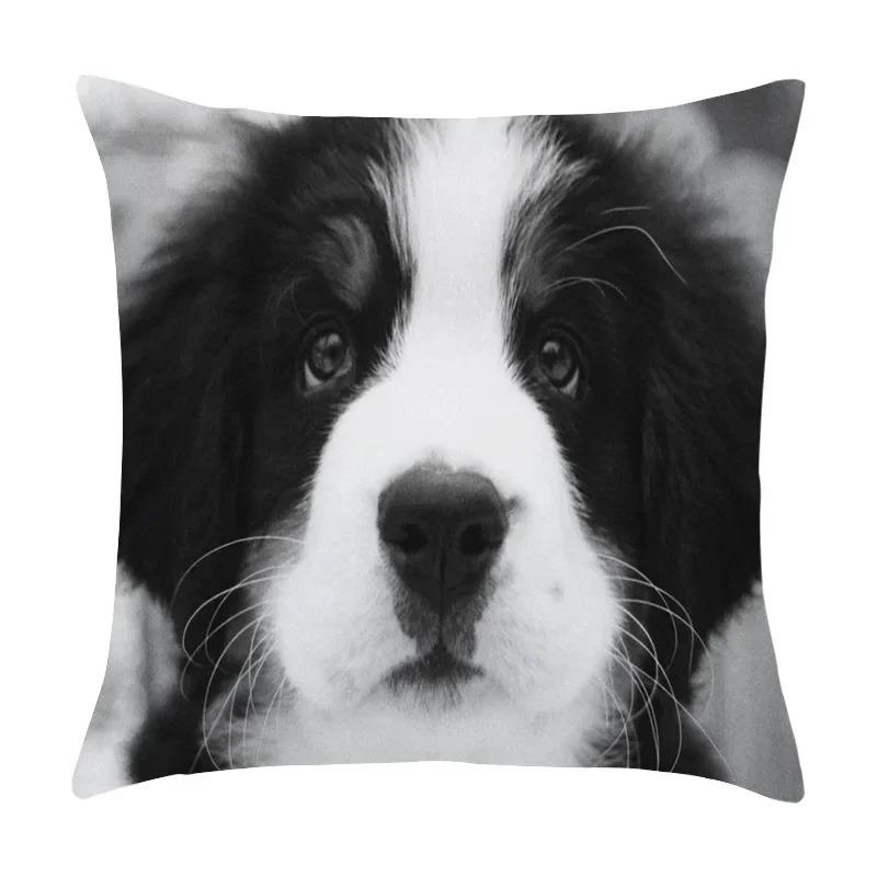 Foto de Arte Fofa de Filhote de Estimação Preto e Branco Capa de Almofada para Sofá de Escritório