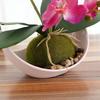 Artificial Butterfly Orchid Bonsai Fake Flower with Tray Home Table Decoration