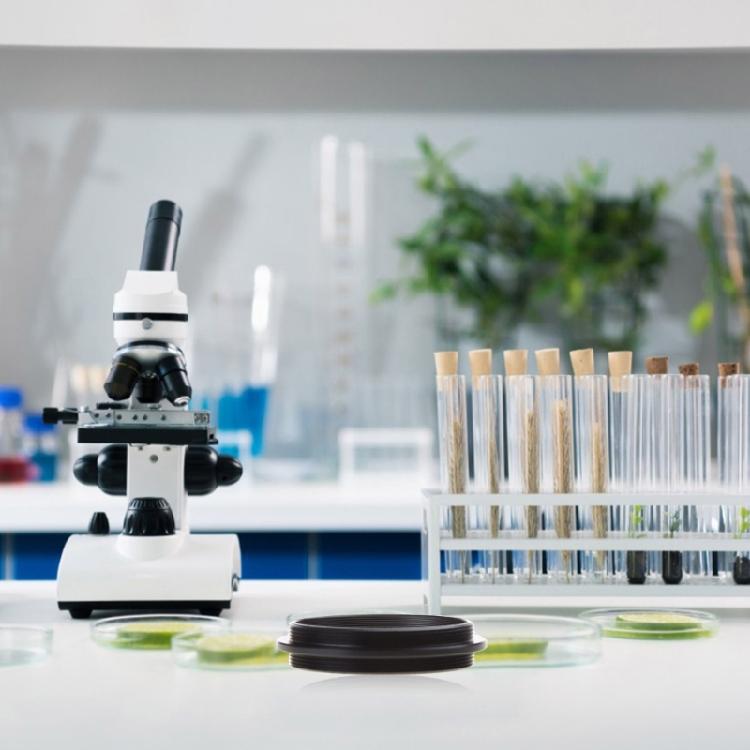 Telescope M42x0.75mm Male To Male Converter M42 To M42 Thread Coupling Ring