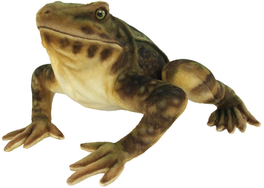 BH8575 HANSA Goliath Frog 35