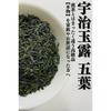 Kyoto Uji Maruri Yoshida Meichaen Gyokuro Green Tea Leaves Sencha (Gyokuro Goyou 70g)
