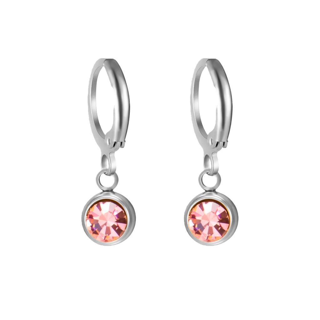 Birthstone Earrings Hoop Earrings Girl Women Stainless Steel Jewelry Family Friend Birthday Valentine's Day Gifts 2025 Trend