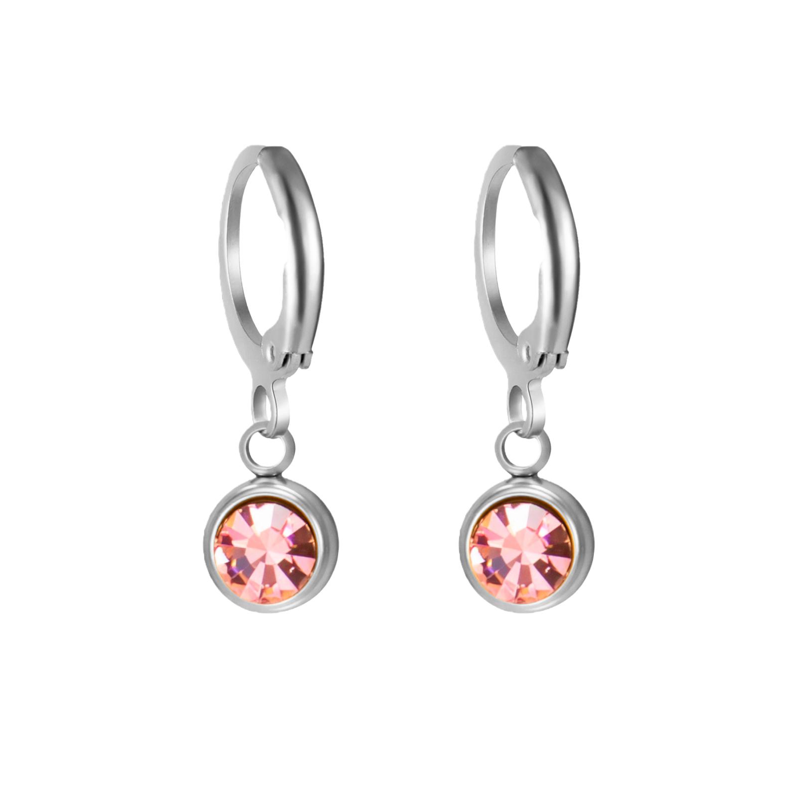 

Birthstone Clear Zircon Earrings Stainless Steel 12 Months Drop Earrings for Women Girls Jewelry Trend 2026 Birthday Gifts New