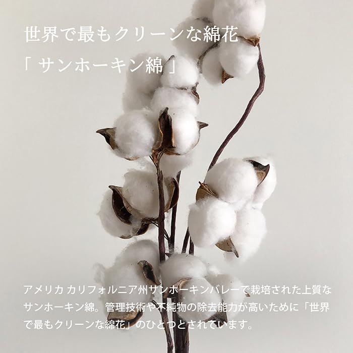 Transparan Imabari Hand Made In Approximately 31 X 35cm Towels, 3-Piece Set, Luxe, Japan, Thick, Hotel-Grade, Absorbent, 100% Cotton, Large, (Green)