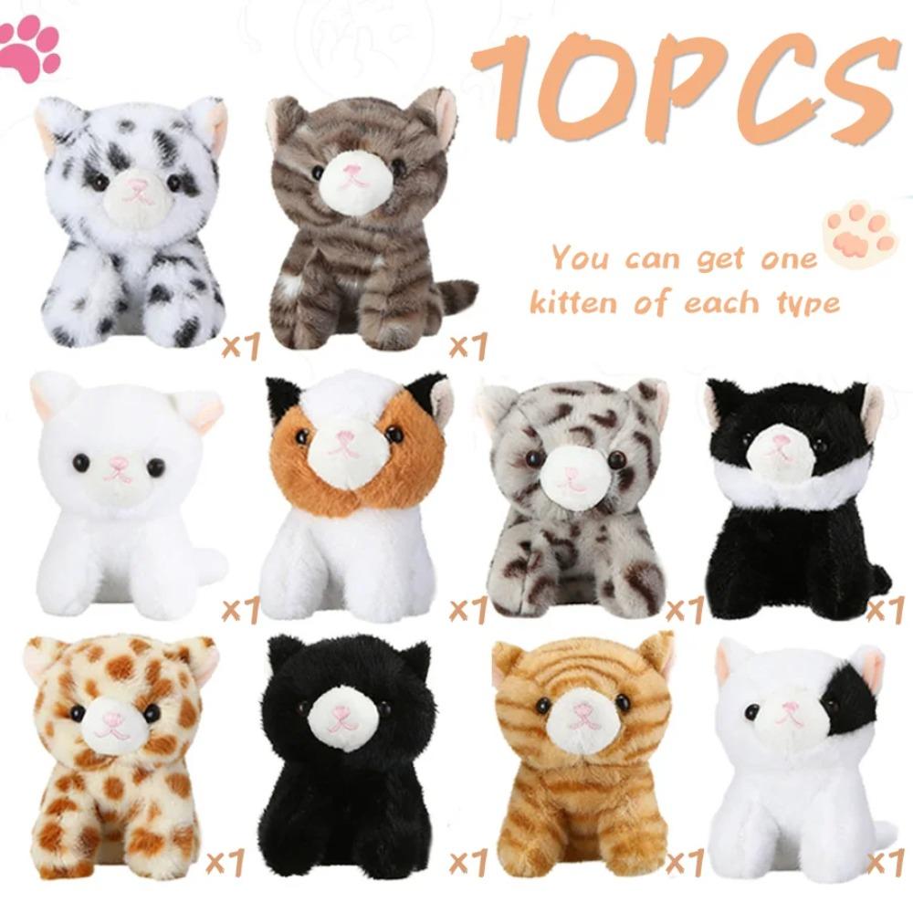 10-50Pcs Adopt A Cat Party Favors
