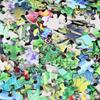 Jigsaw Puzzles for Adults 1000 Piece - Every Piece Is Unique - Precise Interlocking Tropical Forest Animals Thick Sturdy Cardboard Family Game Puzzle