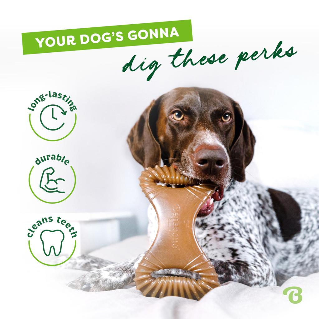 Benebone Dental Chew Mini Chew Bacon Flavor Toy,