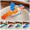 Korean Style Animal Hair Clip Creative Bird Shark Clip Creative Acetate Hair Claw  Girls