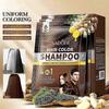 Shampoo Colorante per Capelli Grigi - Shampoo Colorante Naturale Zenzero Castano Chiaro per Colore a Lunga Durata in Minuti, 25ml x 10pz, Formato da Viaggio