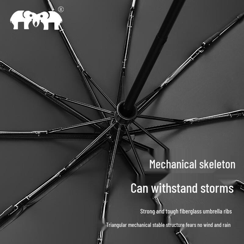 Double Elephant Fully Automatic 10-Rib UV Protection Folding Umbrella