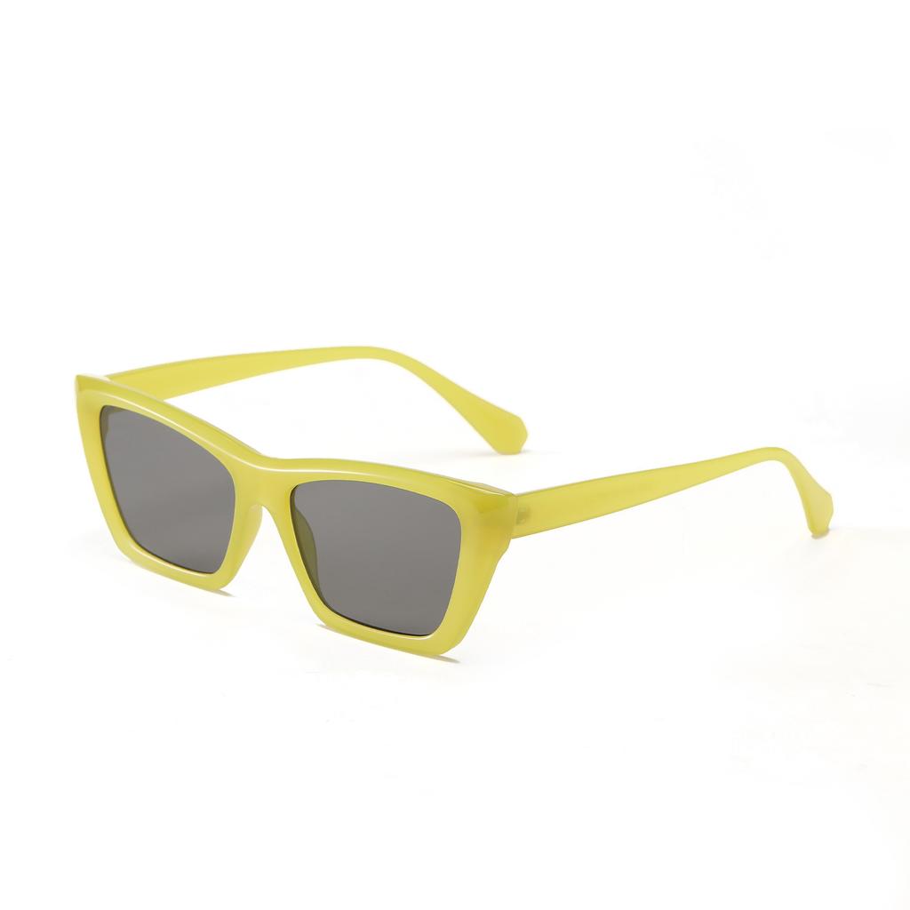 Glasses 2255 Cat Eyes Multi-Colored Plastic Frame Sunglasses Women, Colored Sunglasses Men