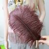 Ostrich Feathers 30-35Cm Wedding Road Guide Table Flower Ornament Ostrich Hair Decorative Clothing Accessories Diy