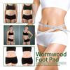 12Pcs Wormwood Foot Pads Detox Foot Patches Self Heating Patch For Foot Care